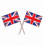 County Flag Toothpicks - ON SALE
