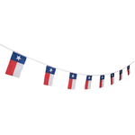 Texas Plastic Pennants