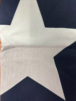 Nylon Texas Flags