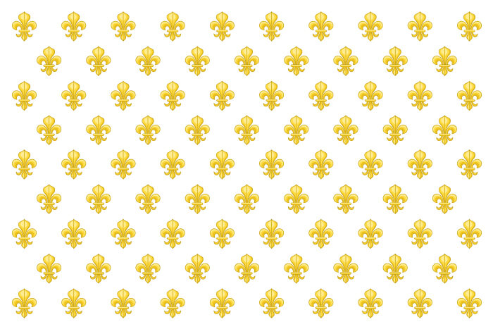 TEXAS UNDER FRANCE FLAG