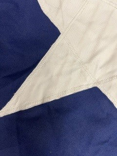 Texas State Flag