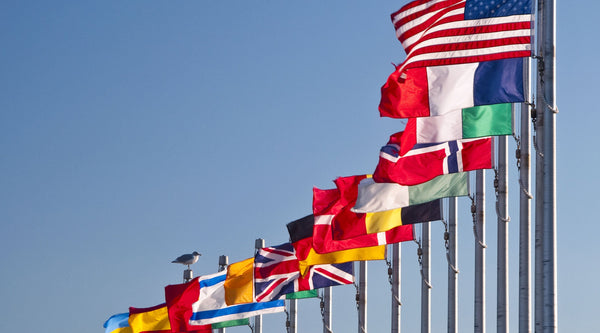 Why You Need a Professional to Install a Flagpole