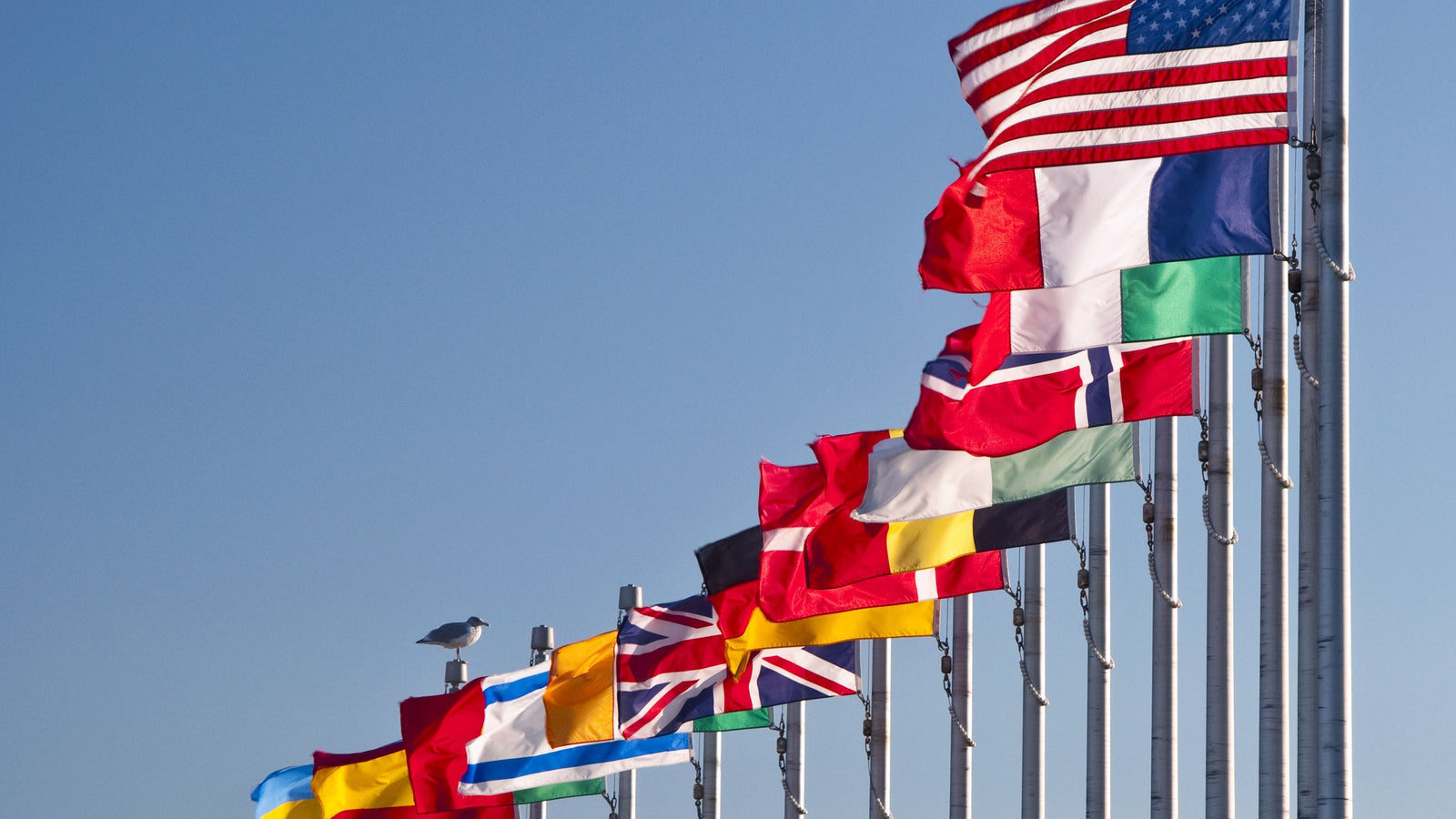 Why You Need a Professional to Install a Flagpole