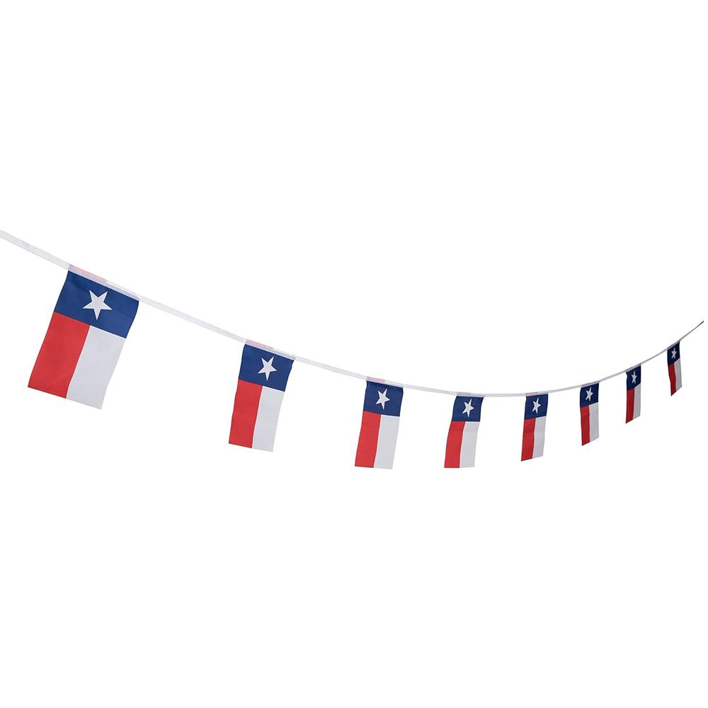 Texas  Pennant