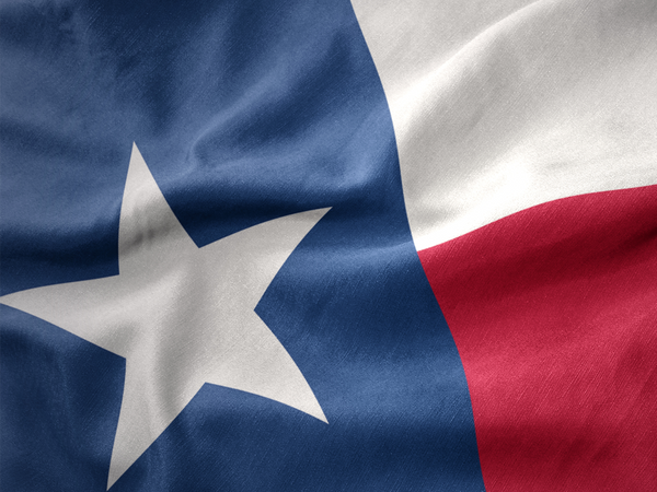 Polyester Texas State Flag