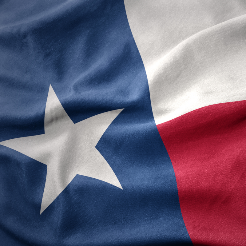 Nylon Texas State Flags