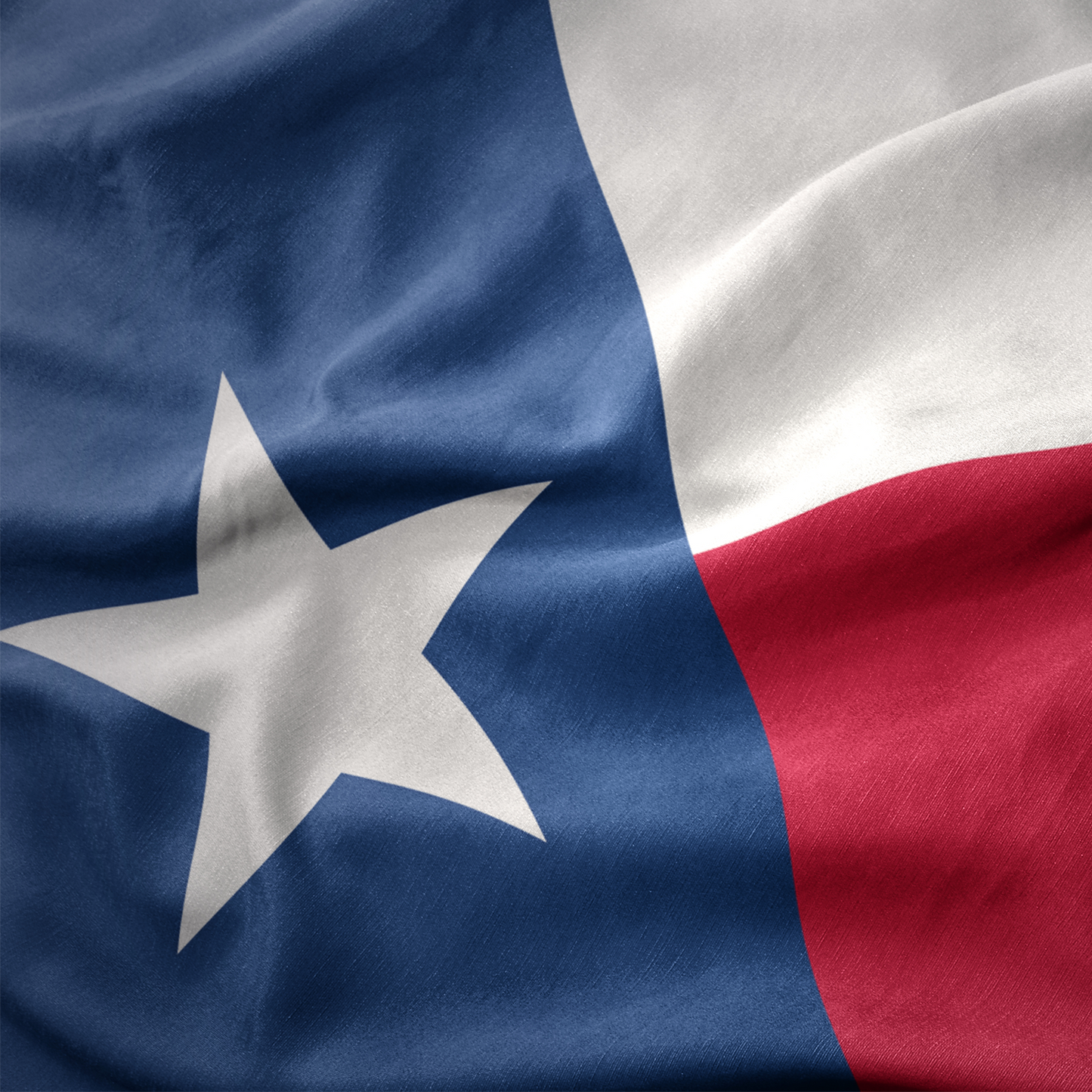 TX State Flag