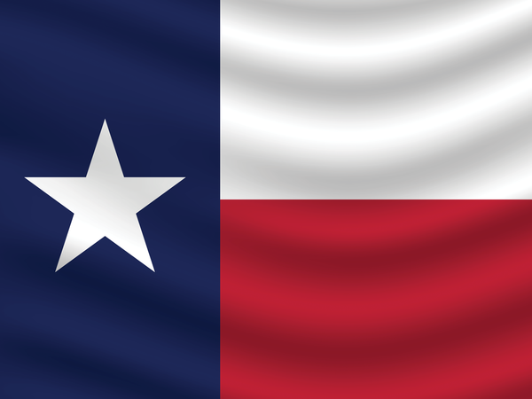 Texas Endurapoly Flag 3x5