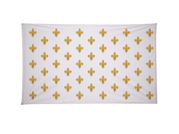 TEXAS UNDER FRANCE FLAG