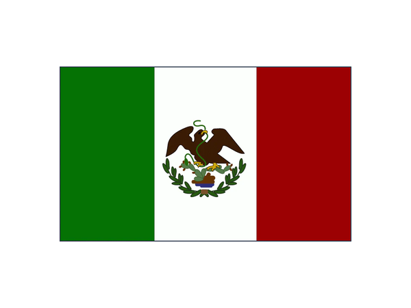 TEXAS UNDER MEXICO FLAG