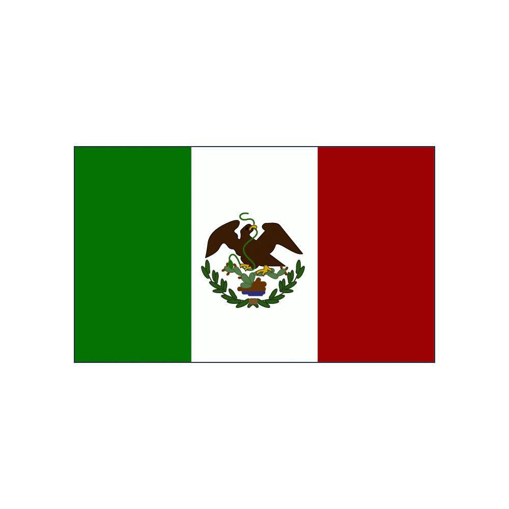 TEXAS UNDER MEXICO FLAG