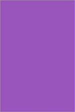 Solid Color Action Flags