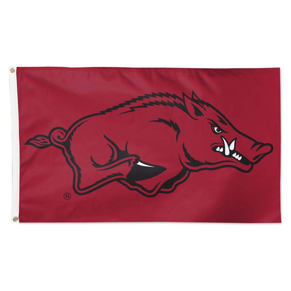 Arkansas Razorbacks