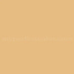 Solid Color Nylon Flag With Grommets