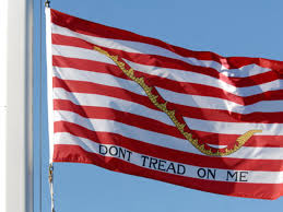 NAVY JACK FLAG