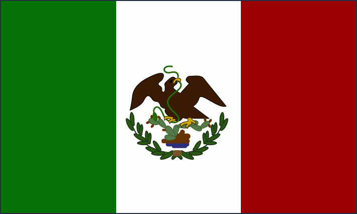 TEXAS UNDER MEXICO FLAG