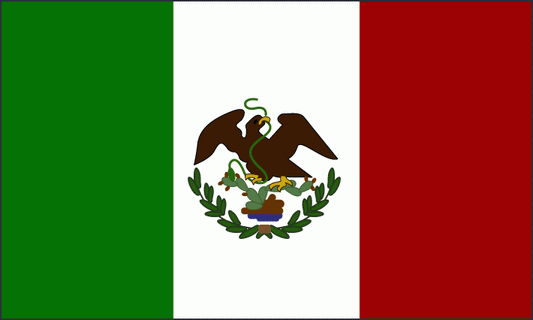 TEXAS UNDER MEXICO FLAG