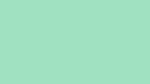 Solid Color Nylon Flag With Grommets
